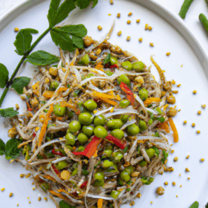 raw-vegan-mung-bean-sprout-salad.png
