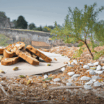 gingerbread-biscotti.png