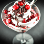 ranberry-hocolate-hip-rozen-ogurt.png