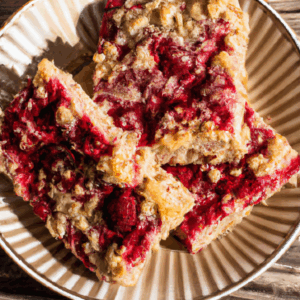 oatmeal-coconut-raspberry-bars.png