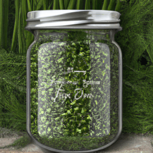 lacto-fermented-green-beans.png