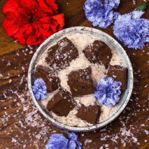 vegan-fudge-recipe-carnation.png