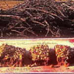 legras-maranth-eed-ars.png