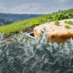 swiss-potato-bake.png