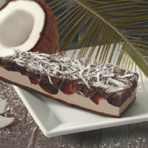chocolate-coconut-slice-most-popular-recipe-4.png