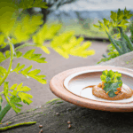 atap-egetarian-razilian-eanut-auce.png