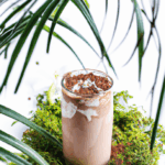 chocolate-coconutty-green-smoothie.png