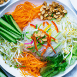 ietnamese-erb-oodle-alad.png